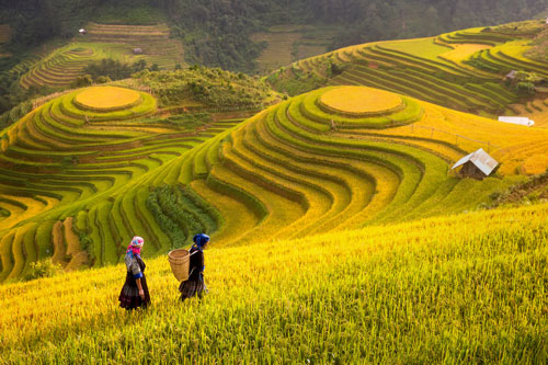Vietnã & Camboja 2026 - Sudeste Asiático